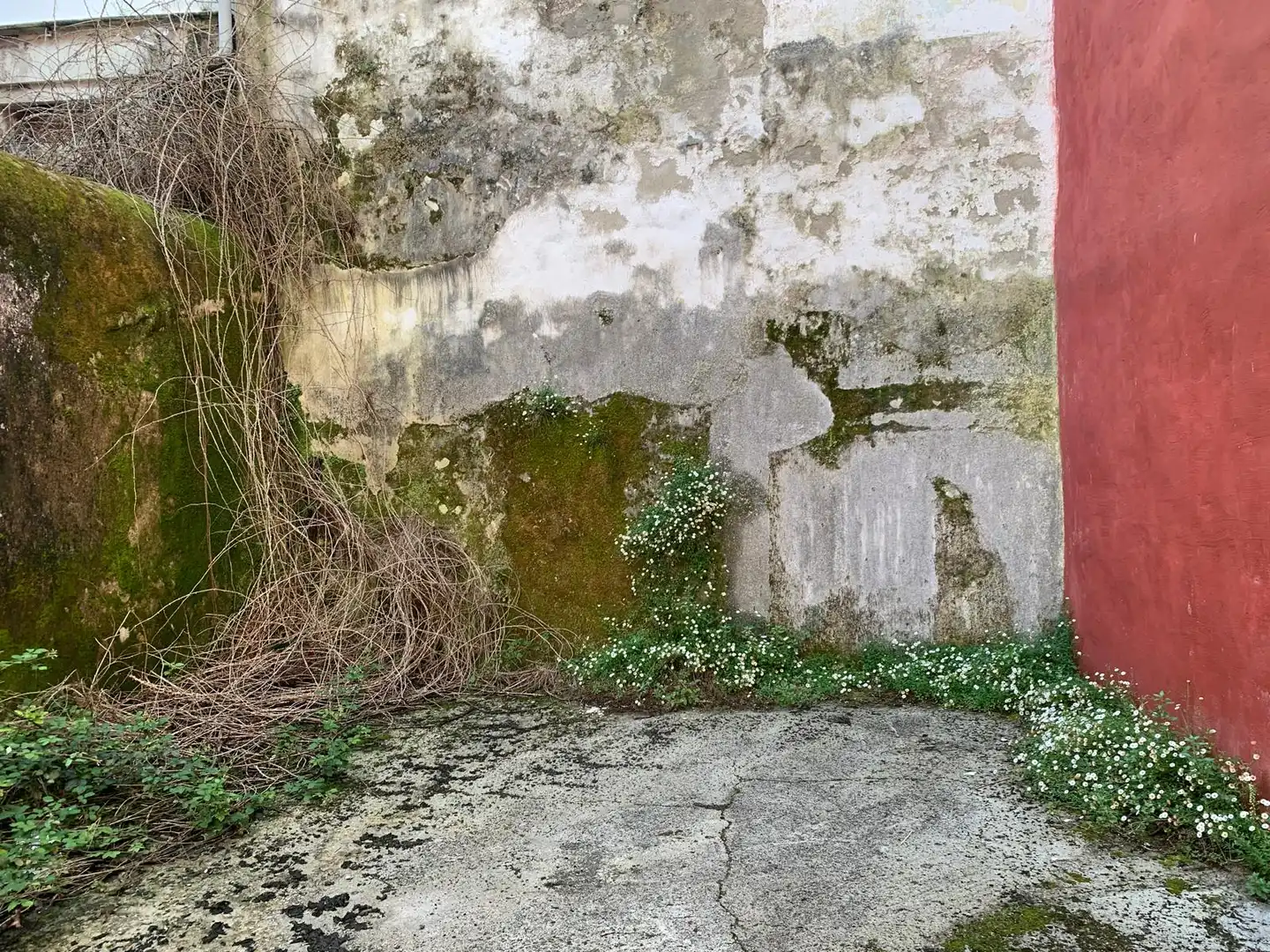 Außenansicht von Residential zum Verkauf in Ferrol