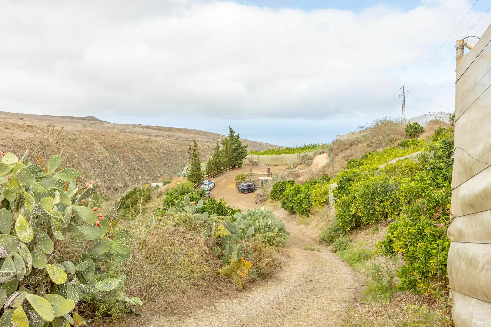 Residencial en venta en Lugar Lomo del Poleo, Saucillo - Fagajesto - Juncalillo