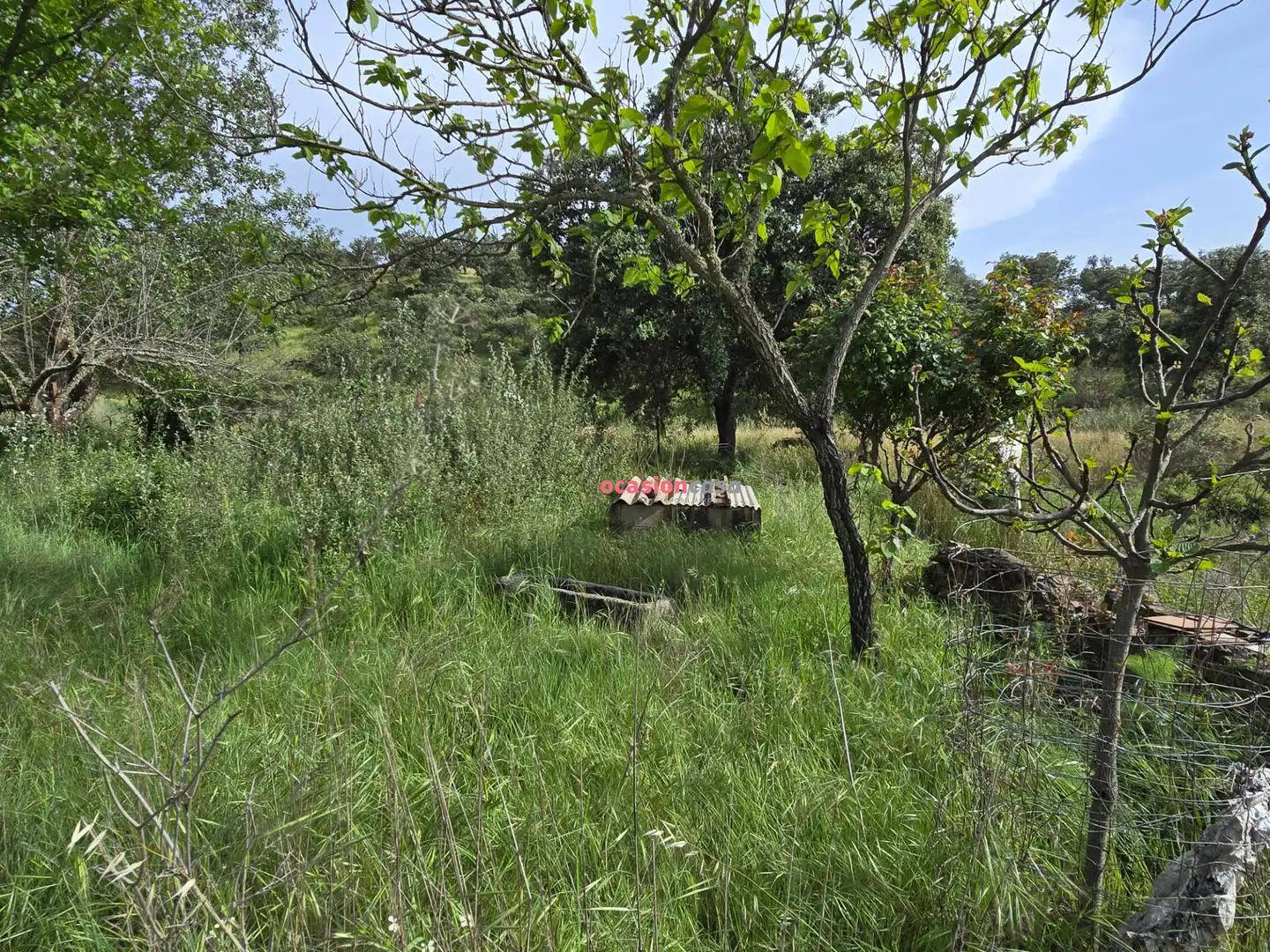 Casa o xalet en venda en Alcaracejos