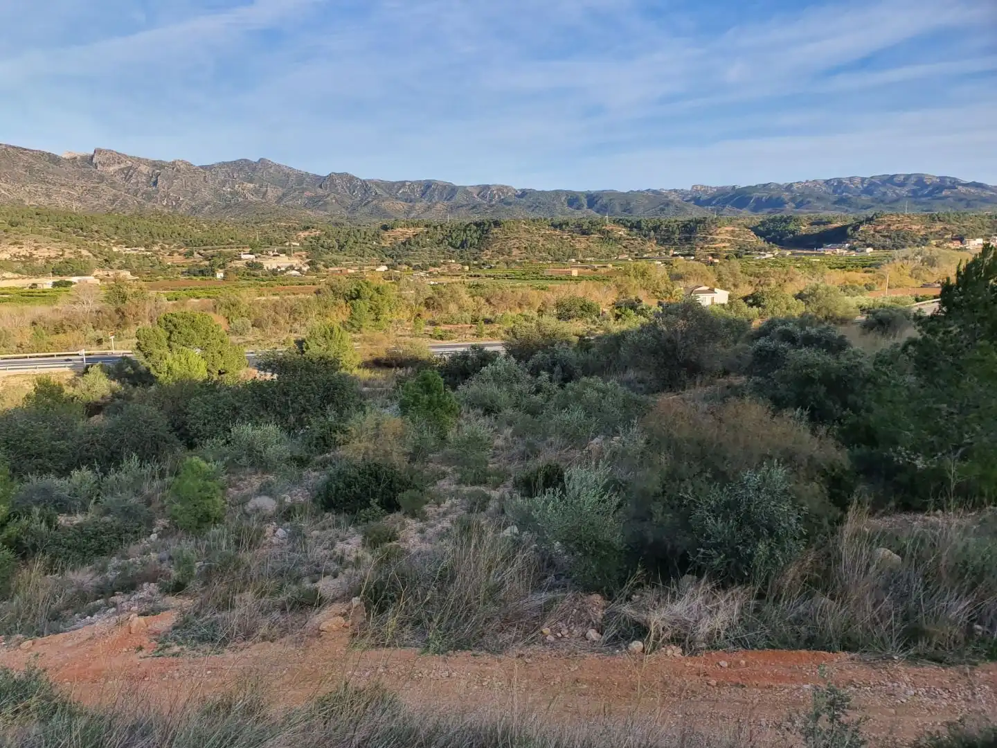 Terrain résidentiel à vendre à Xerta, imagen 9