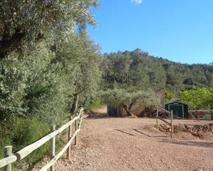 Jardí de Residencial en venda en Móra d'Ebre