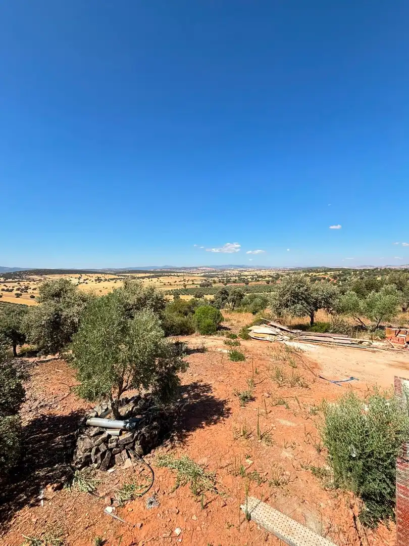 Casa amb jardí en venda a Torre de Juan Abad, imagen 66