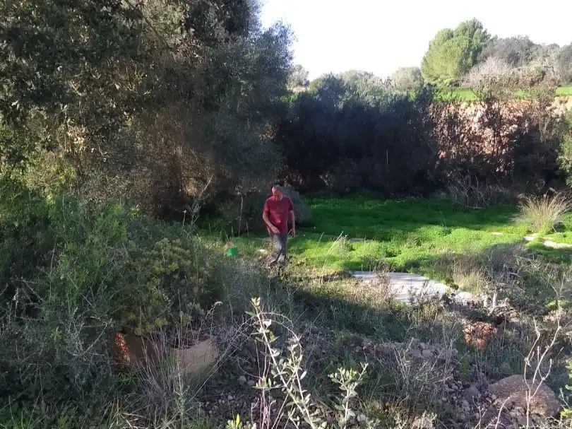 Terreno rustico in vendita a Son Manera 9, imagen 5