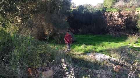 Terreno rustico una preciocidsd, imatge 5