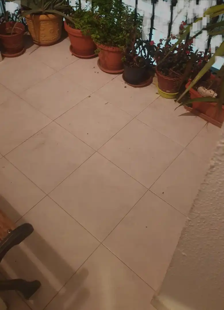 Flat with terrace for sale in Parque de la Constitución 5a, imagen 20