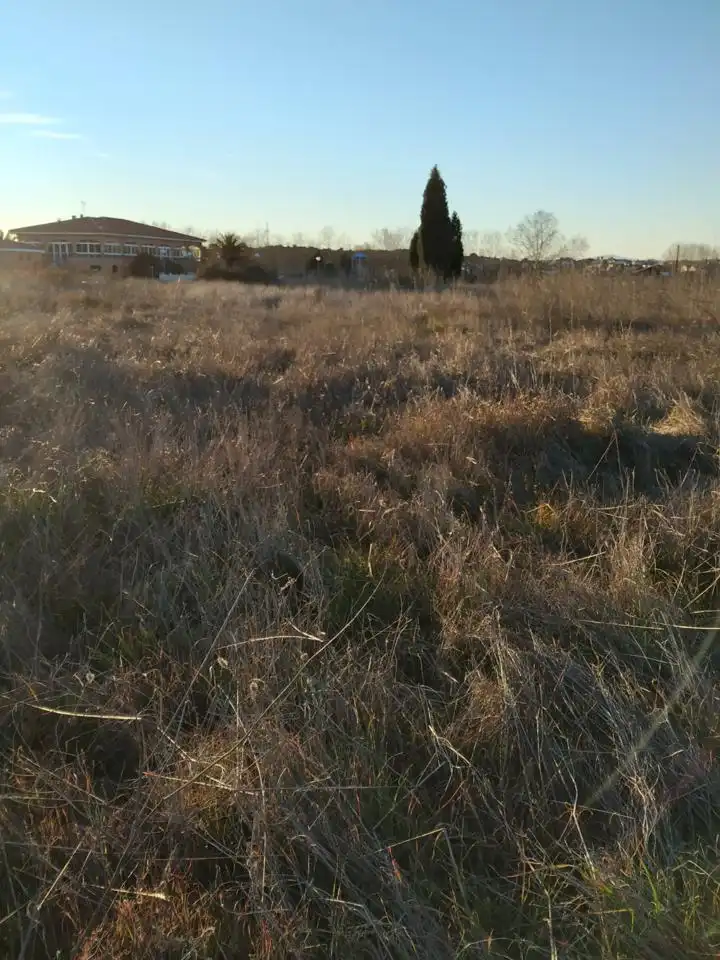 Terreni e lotti in vendita a De Plasencia, imagen 7