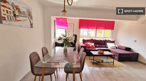 Photo 5 of Apartment to share in Son Armadans, Illes Balears