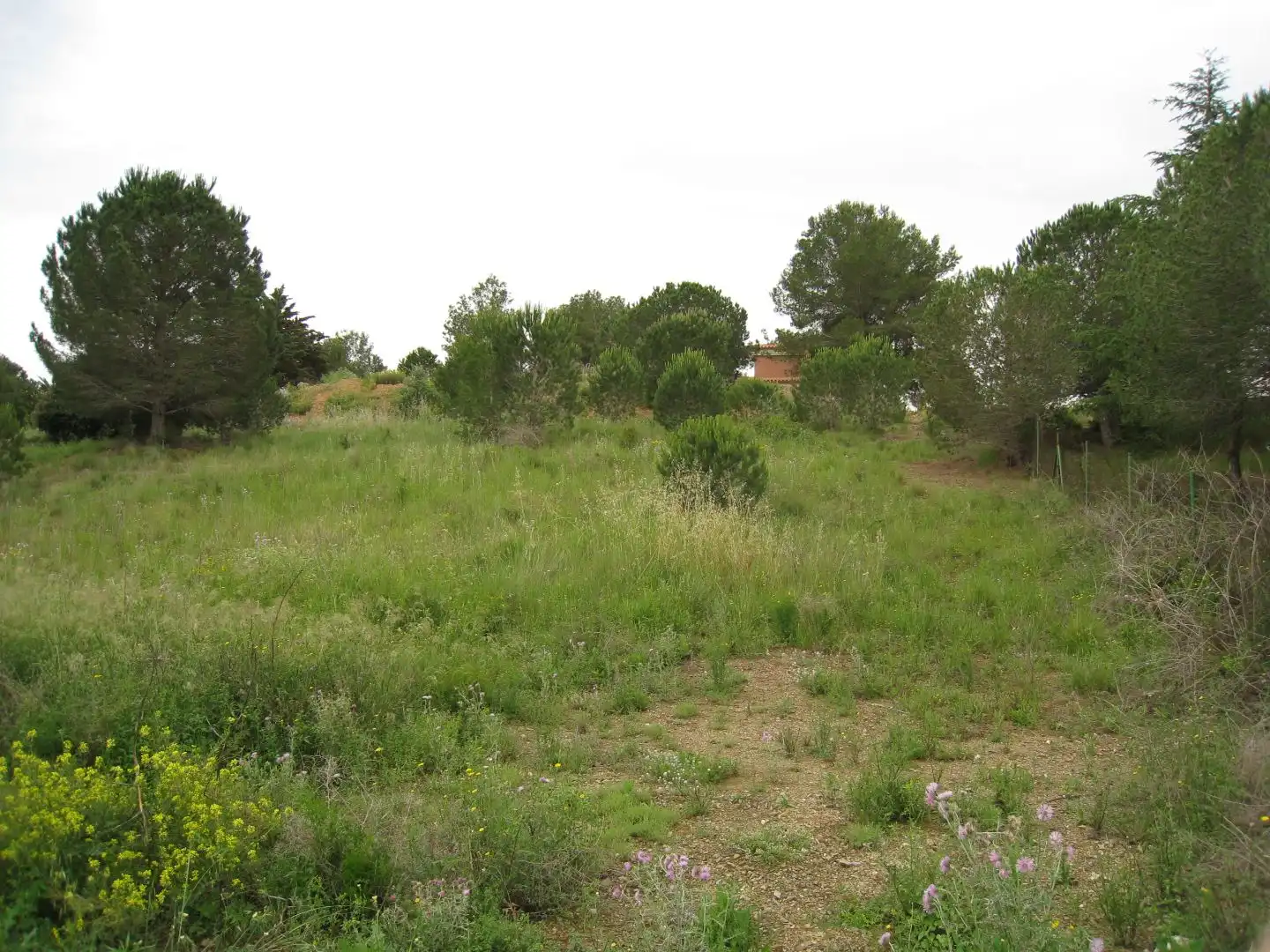 Wohnbaugrundstück zum Verkauf in Carrer del Pi 5, imagen 6