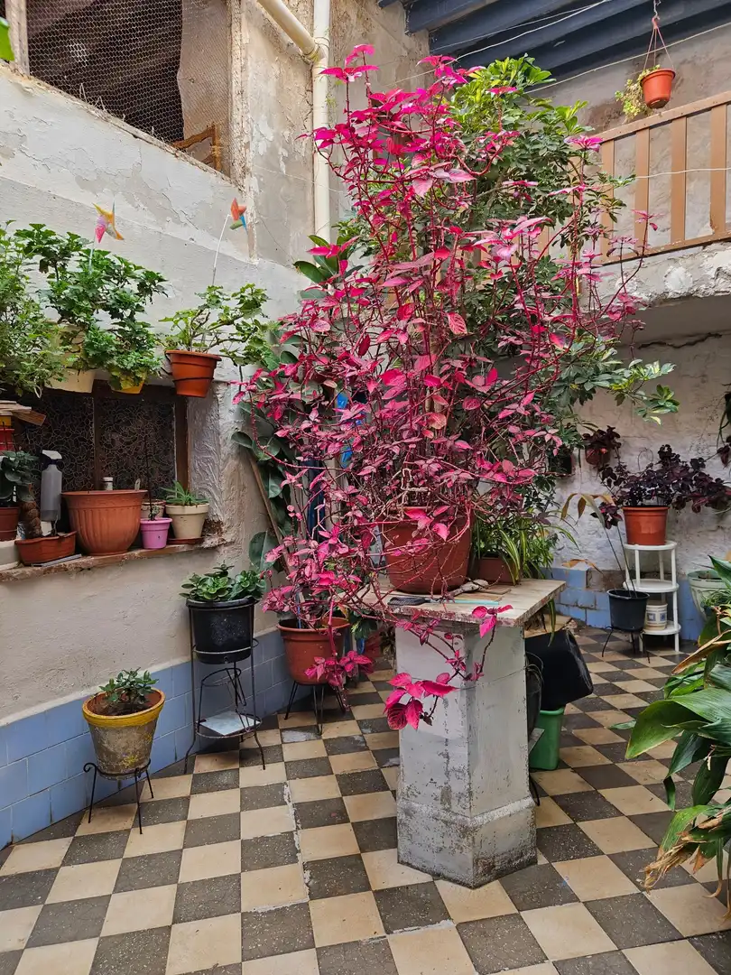 Terraza de Casa adosada en venta en Monóvar  / Monòver con Aire acondicionado, Calefacción y Jardín privado