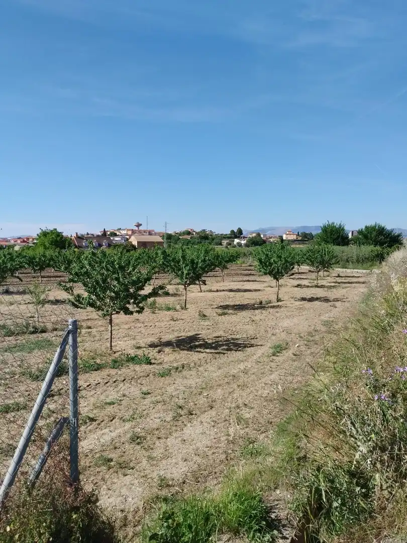 Terreni e lotti in vendita a Carretera Polígono 1 Parcela 83 PAGE BAJO. VILLA DE OTURA (, imagen 15
