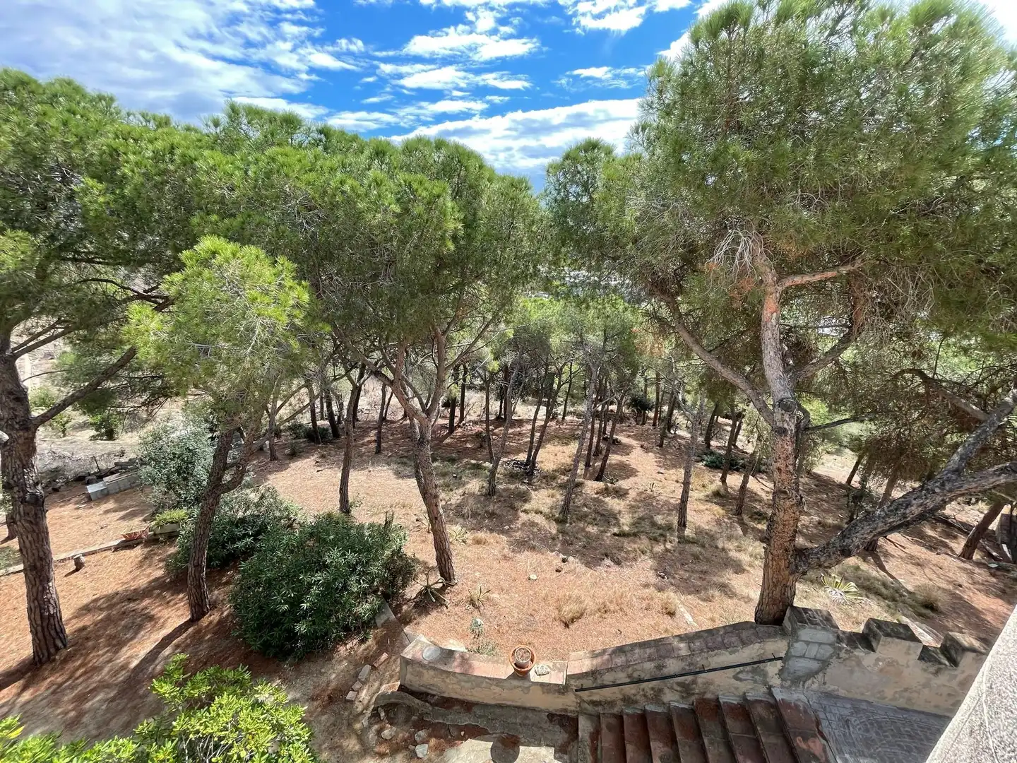 Finca rústica en venta en Canyet