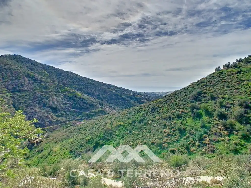 Casa amb piscina en venda a MA-4111, imagen 45
