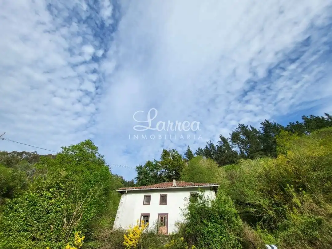 Vista exterior de Casa o chalet en venta en Ibarrangelu
