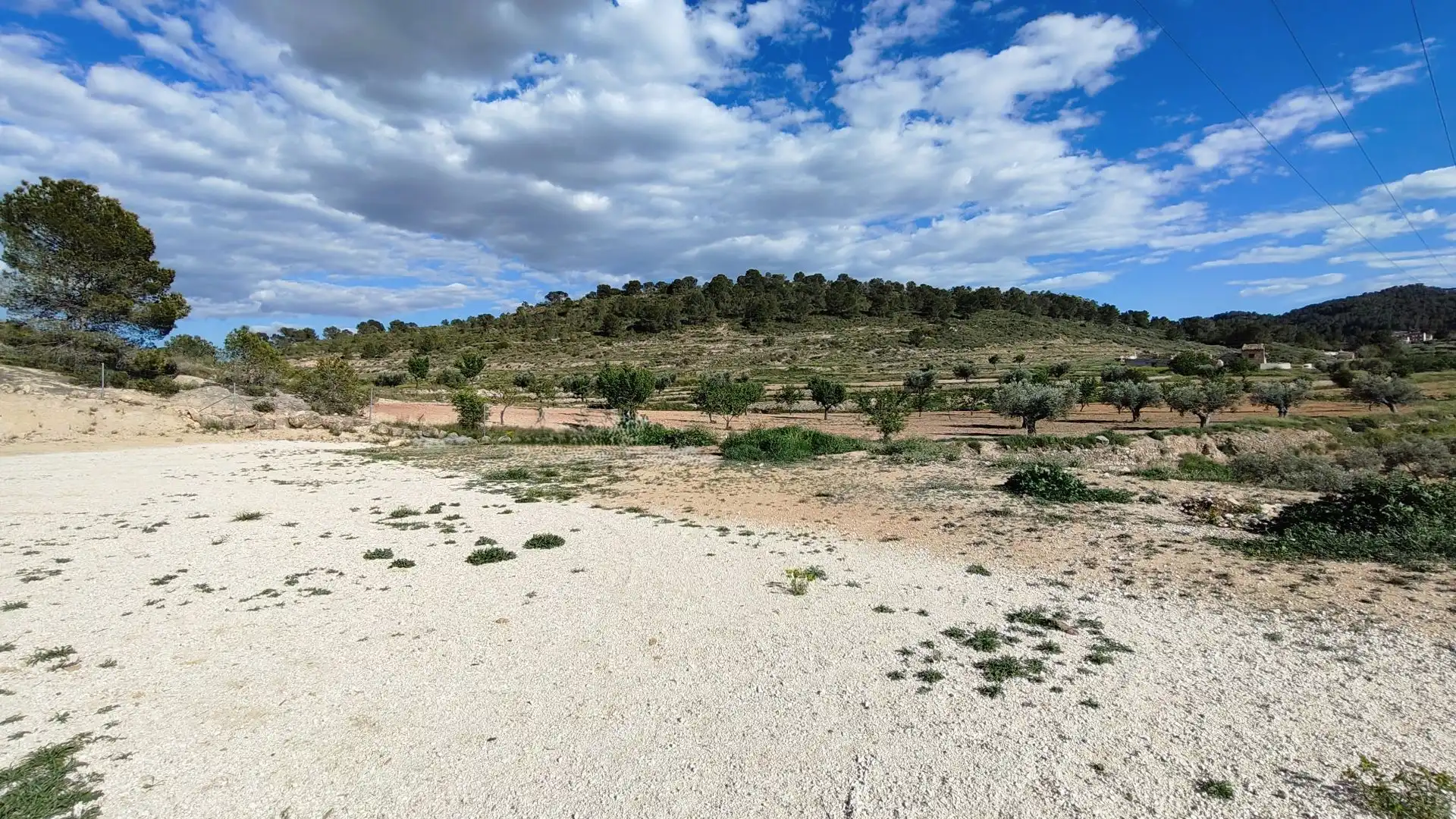 Grundstücke zum Verkauf in Jumilla