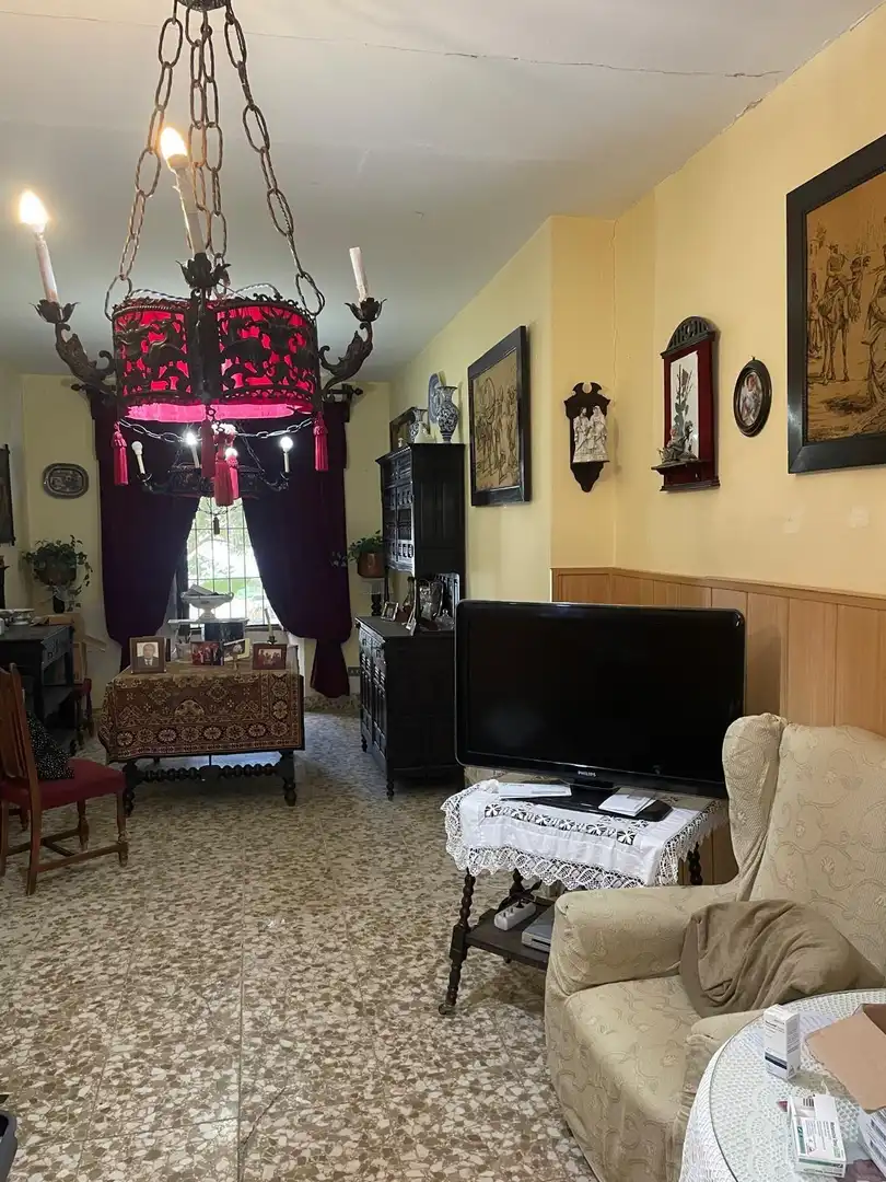 Sala de estar de Casa o chalet en venta en Alcaudete con Jardín privado