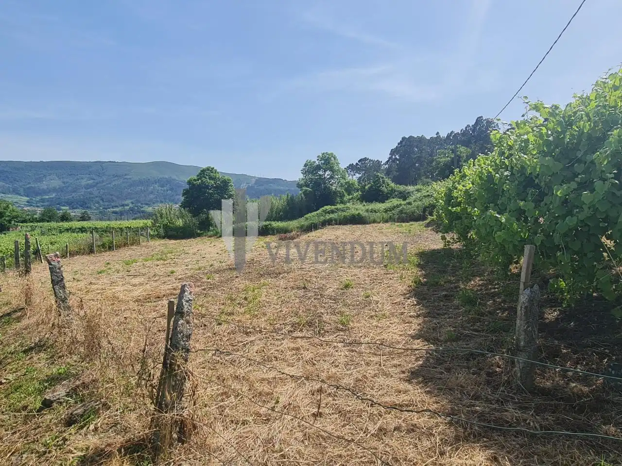 Rural land for sale in Arbo, imagen 18