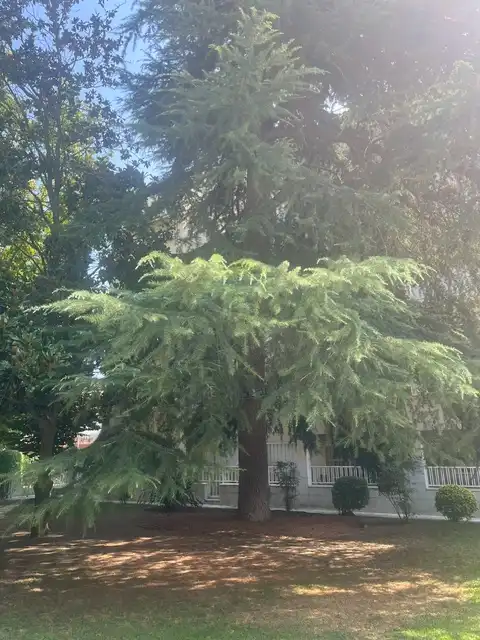 Garten von Wohnung zur Miete in Sant Cugat del Vallès mit Klimaanlage, Heizung und Parkett