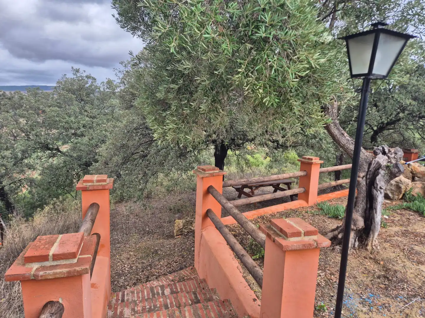 Jardí de Finca rústica en venda en Puerto Serrano amb Aire condicionat, Calefacció i Jardí privat