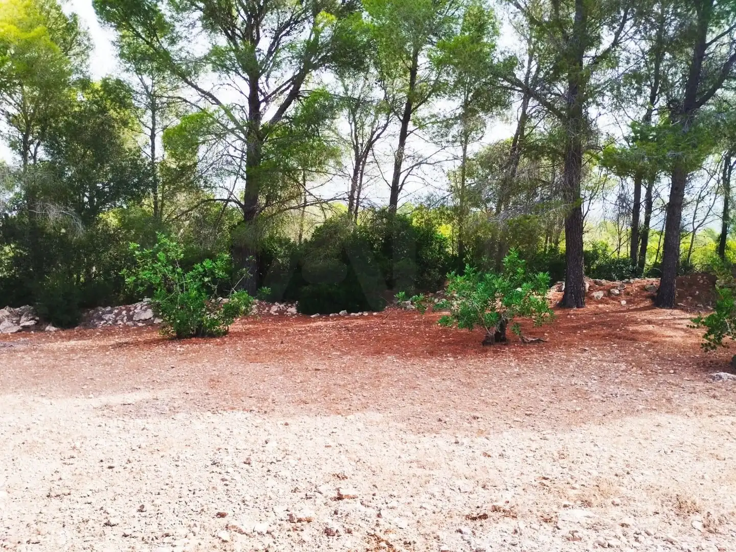 Terreno rústico en venta en Aldover, imagen 39