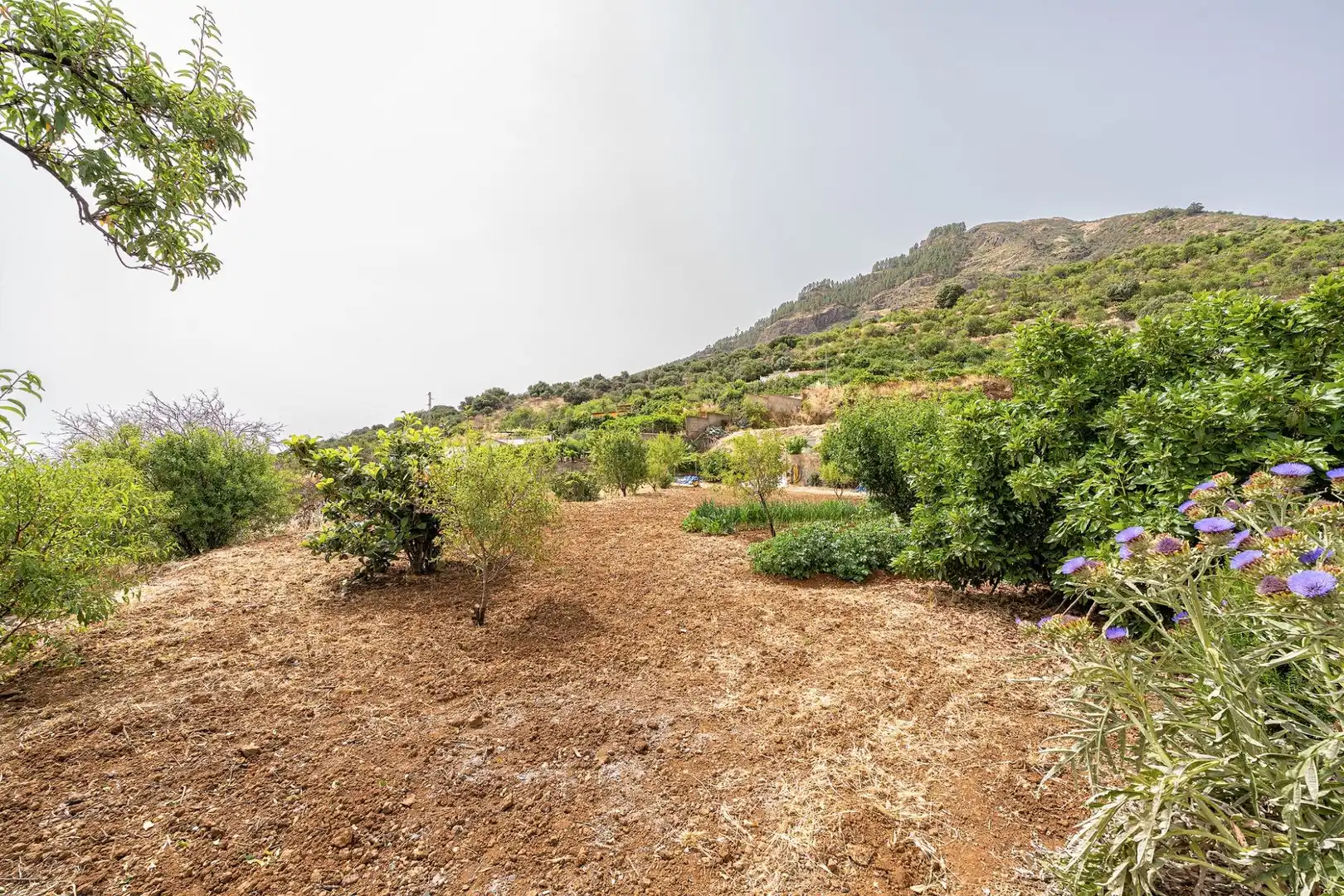 Casa o chalet en venta en Valsequillo de Gran Canaria con Jardín privado y Terraza