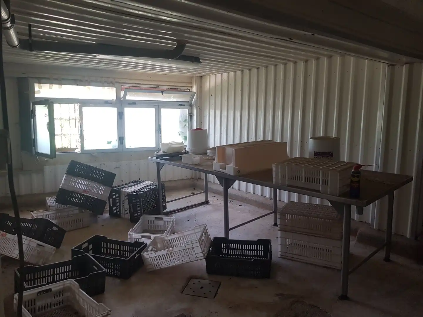 Fabrikhallen zur Miete in Quintana Redonda