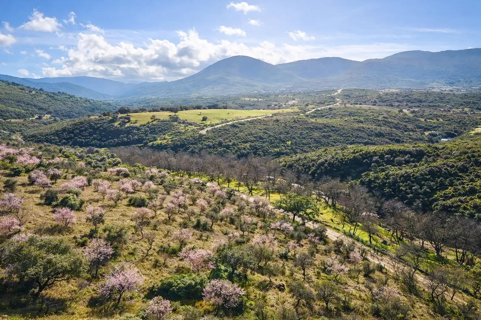 Terreno en venta en Los Navalucillos