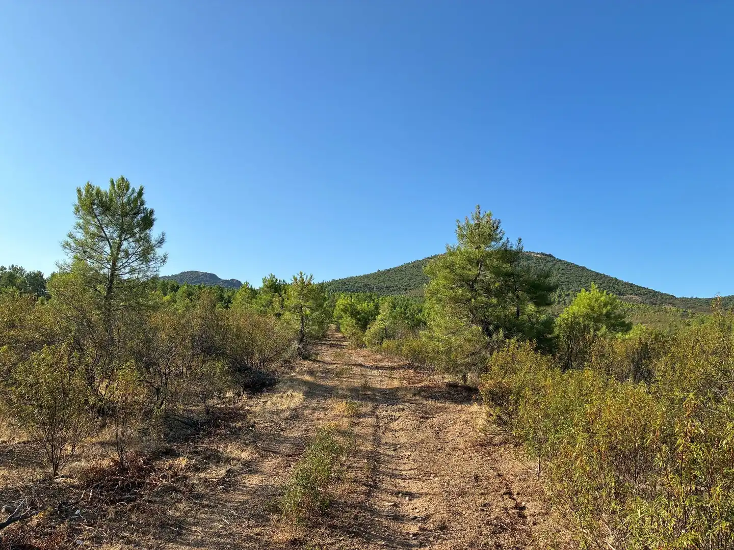 Rural land for sale in Puerto de San Vicente, imagen 12