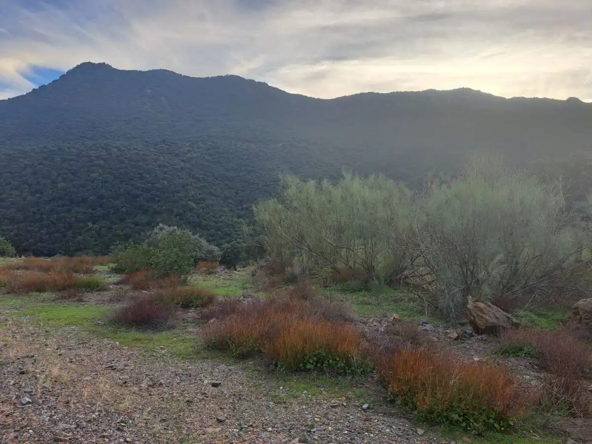 Finca rústica en venta en Villar del Pozo