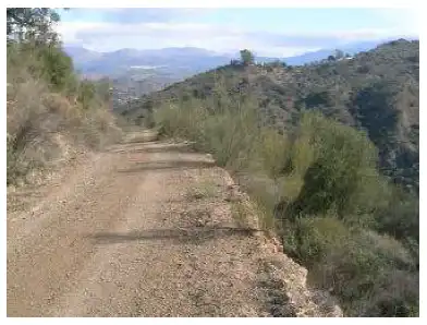 Vista exterior de Finca rústica en venta en Periana