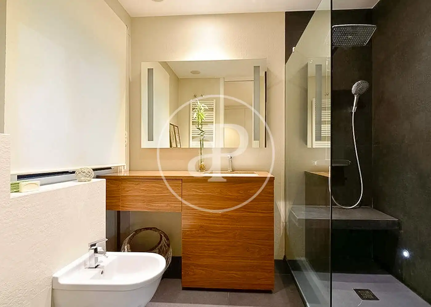 Baño de Piso de alquiler en Madrid con Aire acondicionado y Calefacción
