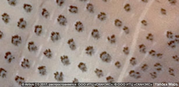 Jardí de Finca rústica en venda en Guadamur