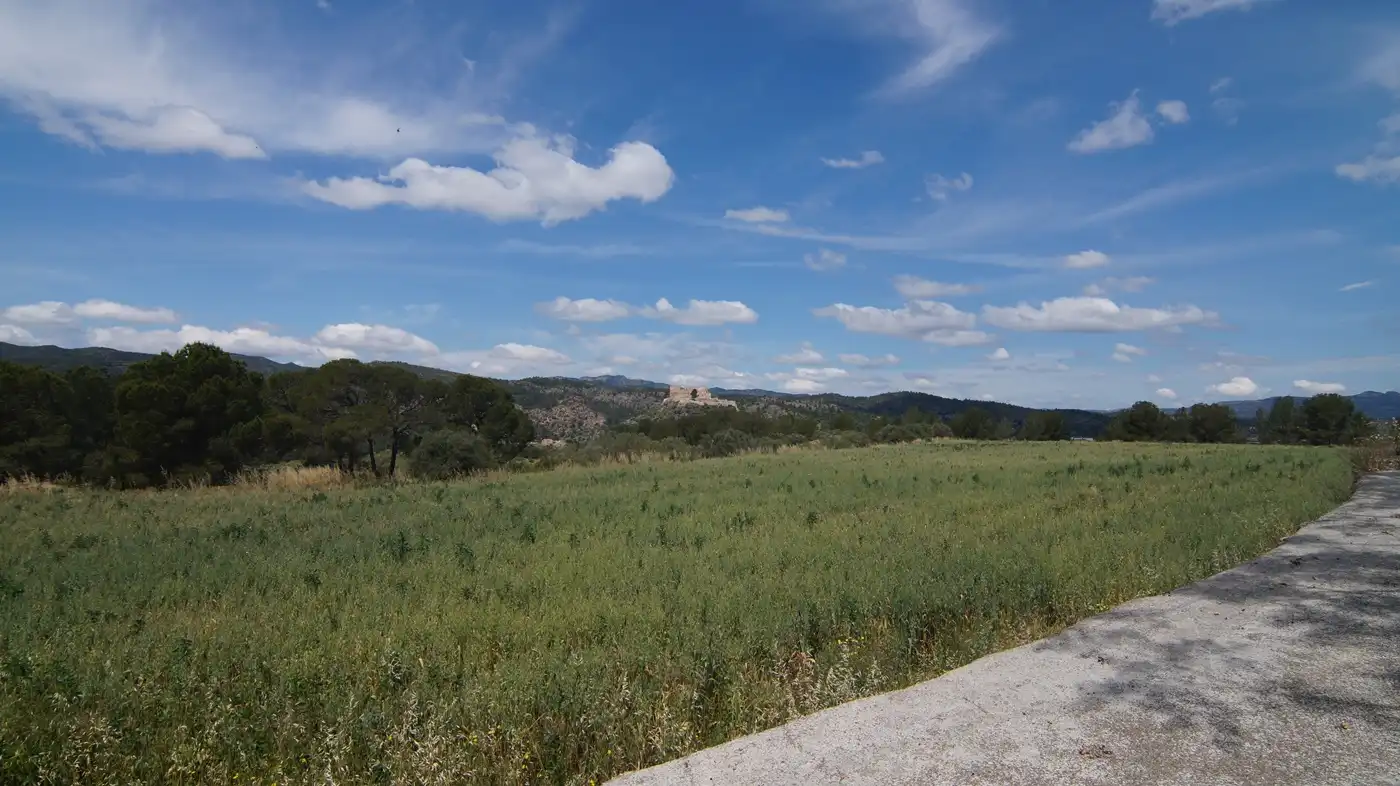 Terreno en venta en Ginestar