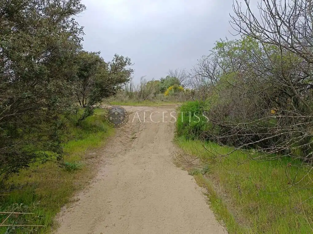 Terreno rústico en venta en Aldea del Fresno, imagen 15