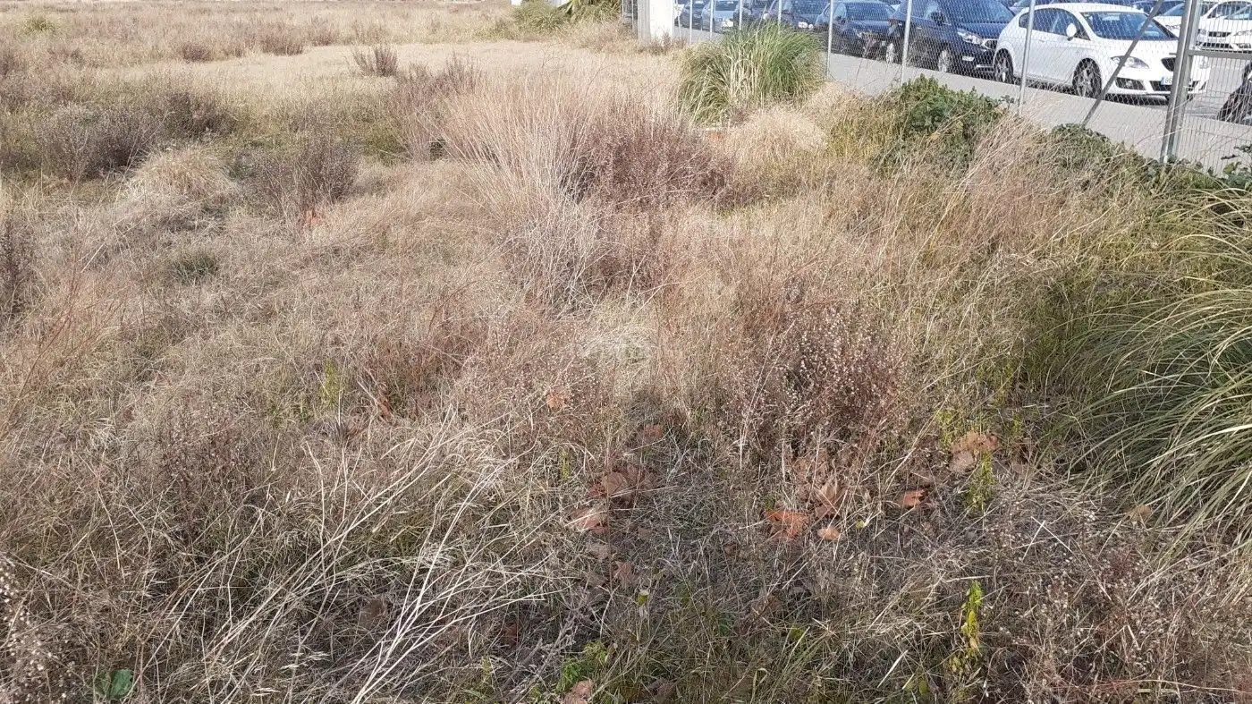 Terreni e lotti in vendita a Vilamarina, imagen 10