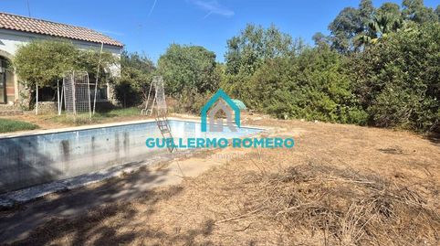 Foto 2 de Finca rústica en venta en La Puebla del Río, Sevilla