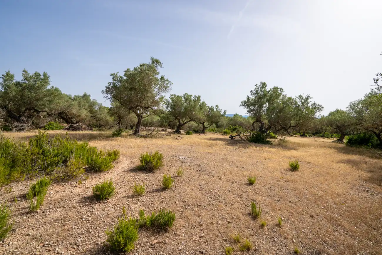 Terreno en venta en El Perelló