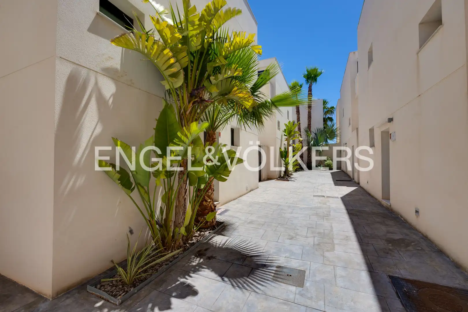 Vista exterior de Casa o chalet en venta en Torrevieja con Aire acondicionado, Calefacción y Jardín privado