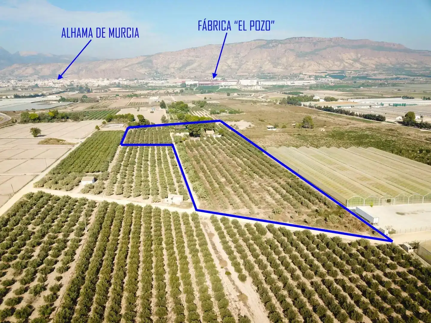 Land for sale in Alhama de Murcia