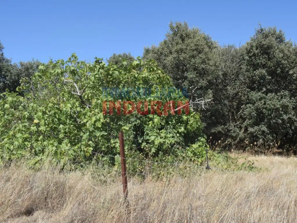 Haus zum Verkauf in Peraleda de la Mata, imagen 6
