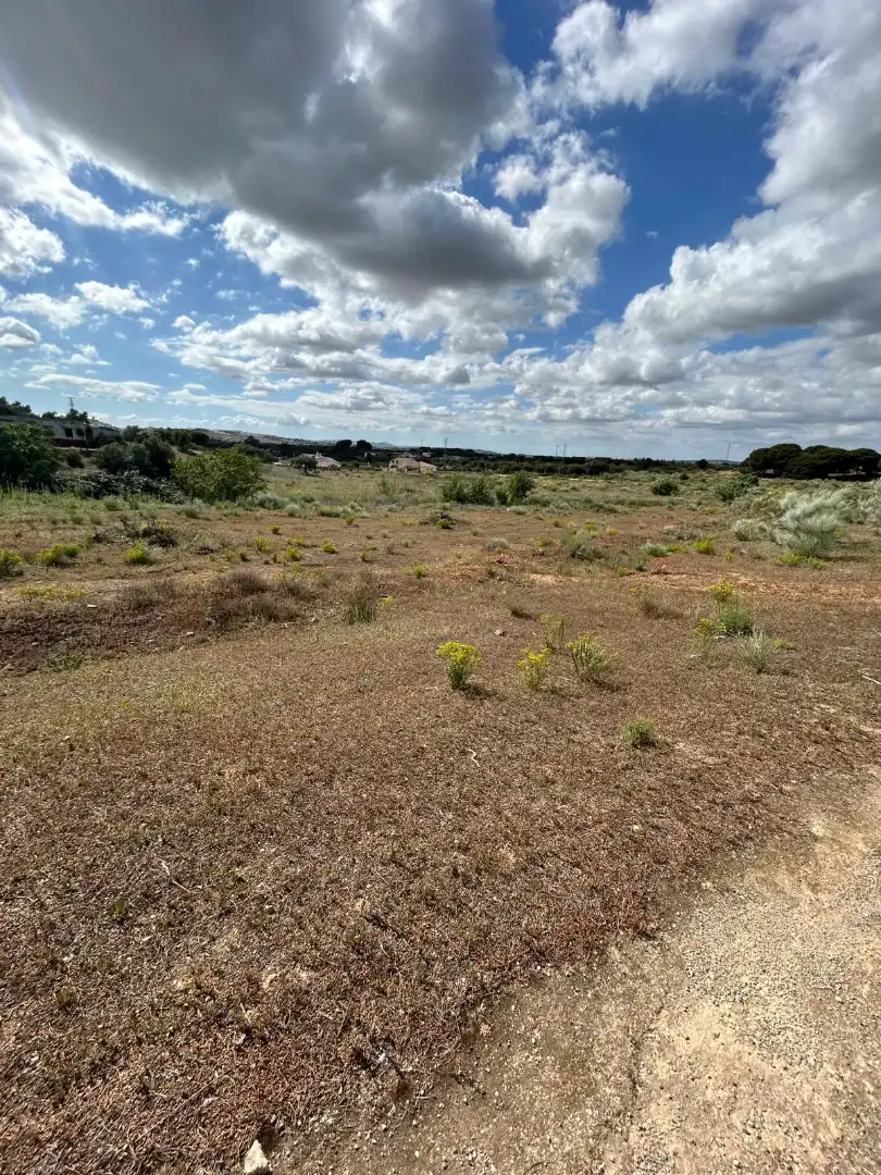 Terrain rustique à vendre à Arcos de la Frontera, imagen 16