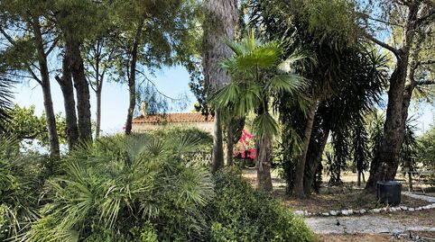 Foto 3 de Finca rústica en venda a Grau - Quintanes, Amposta
