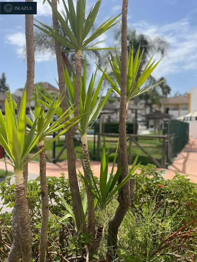Chalet con terraza en venta en Calle Calle Cañaveral, imagen 73