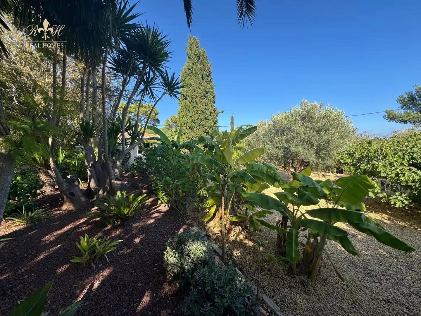 Jardín de Casa o chalet de alquiler en L'Alfàs del Pi con Aire acondicionado, Calefacción y Terraza