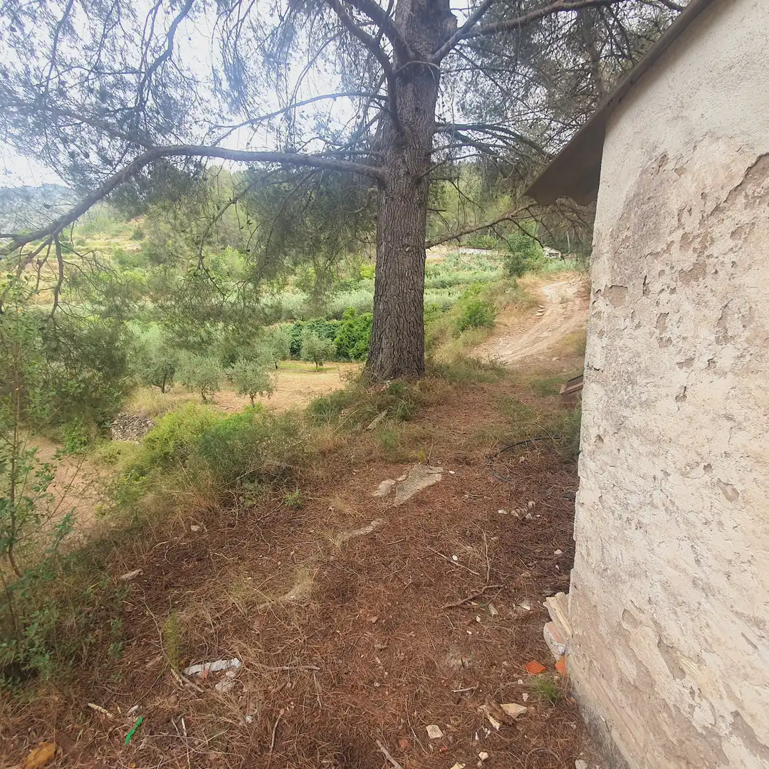 Terreno rústico en venta en Benifallet, imagen 31