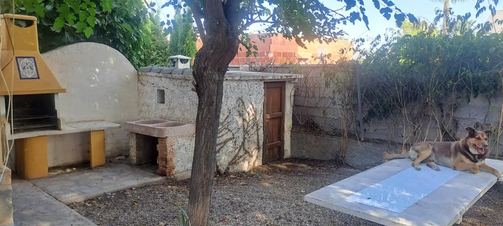 Garten von Haus oder Chalet zum Verkauf in Elche / Elx mit Terrasse, Abstellraum und Schwimmbad