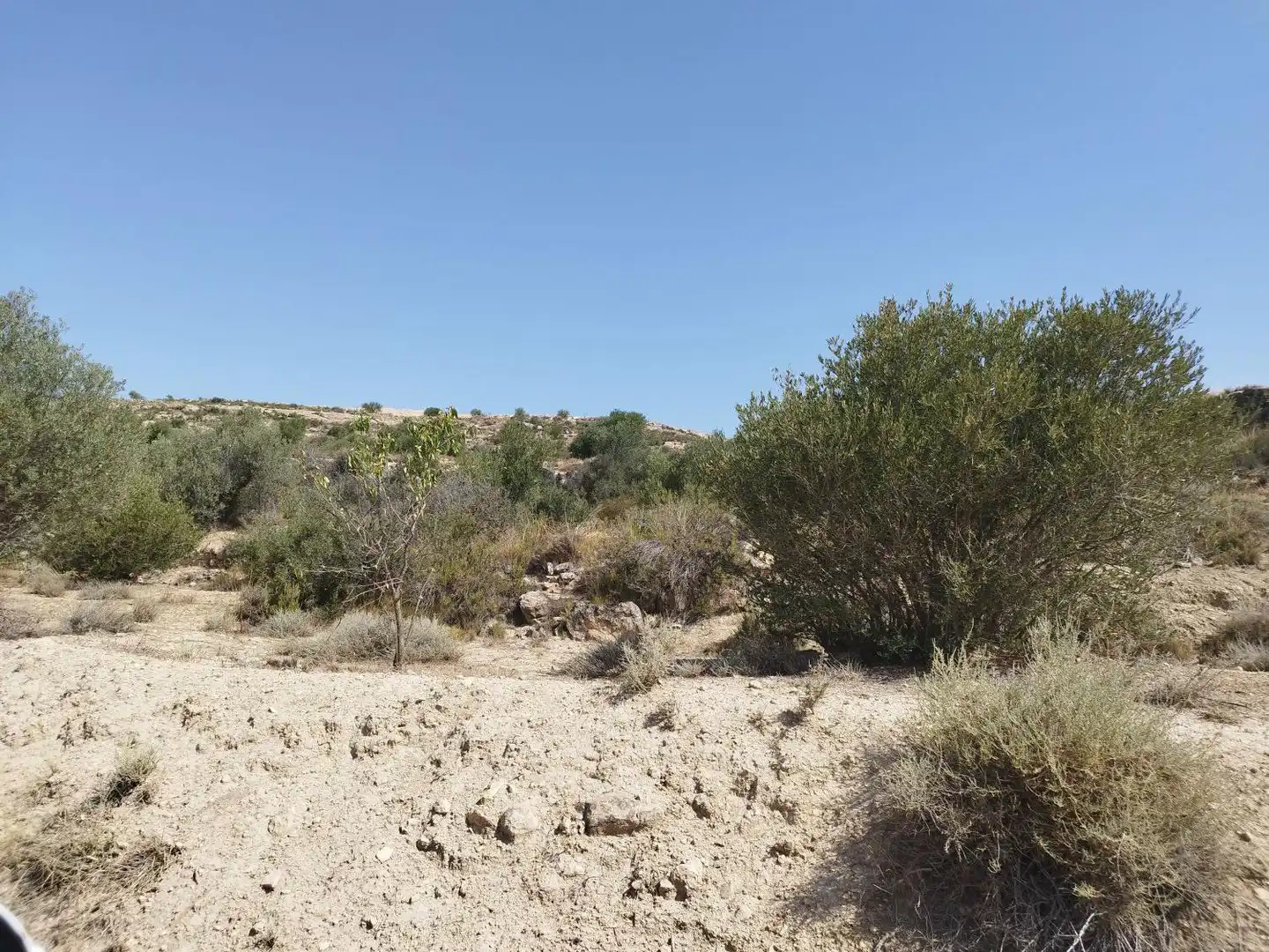 Finca rústica en venta en Castelldans