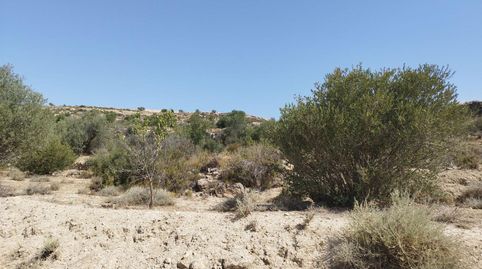 Finca Rúst. en venta en Castelldans., immagine 2