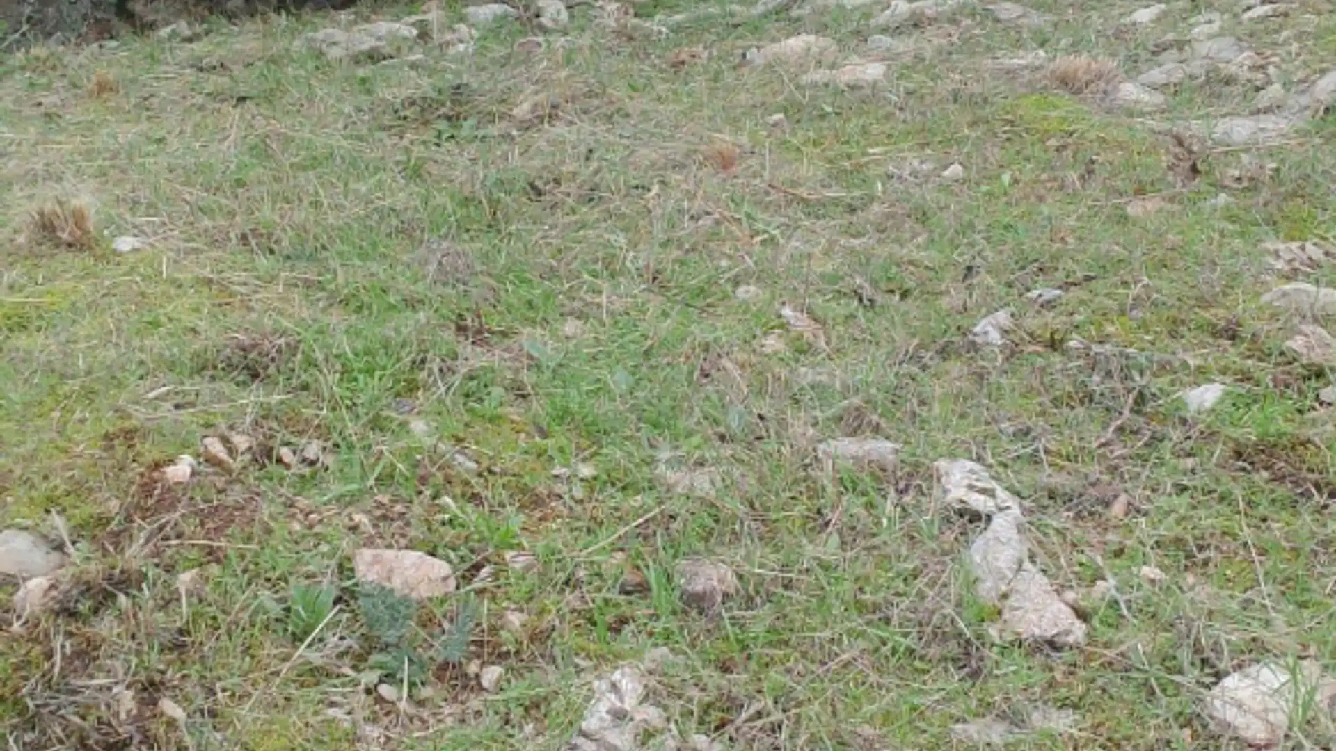 Terreno en venta en El Burgo