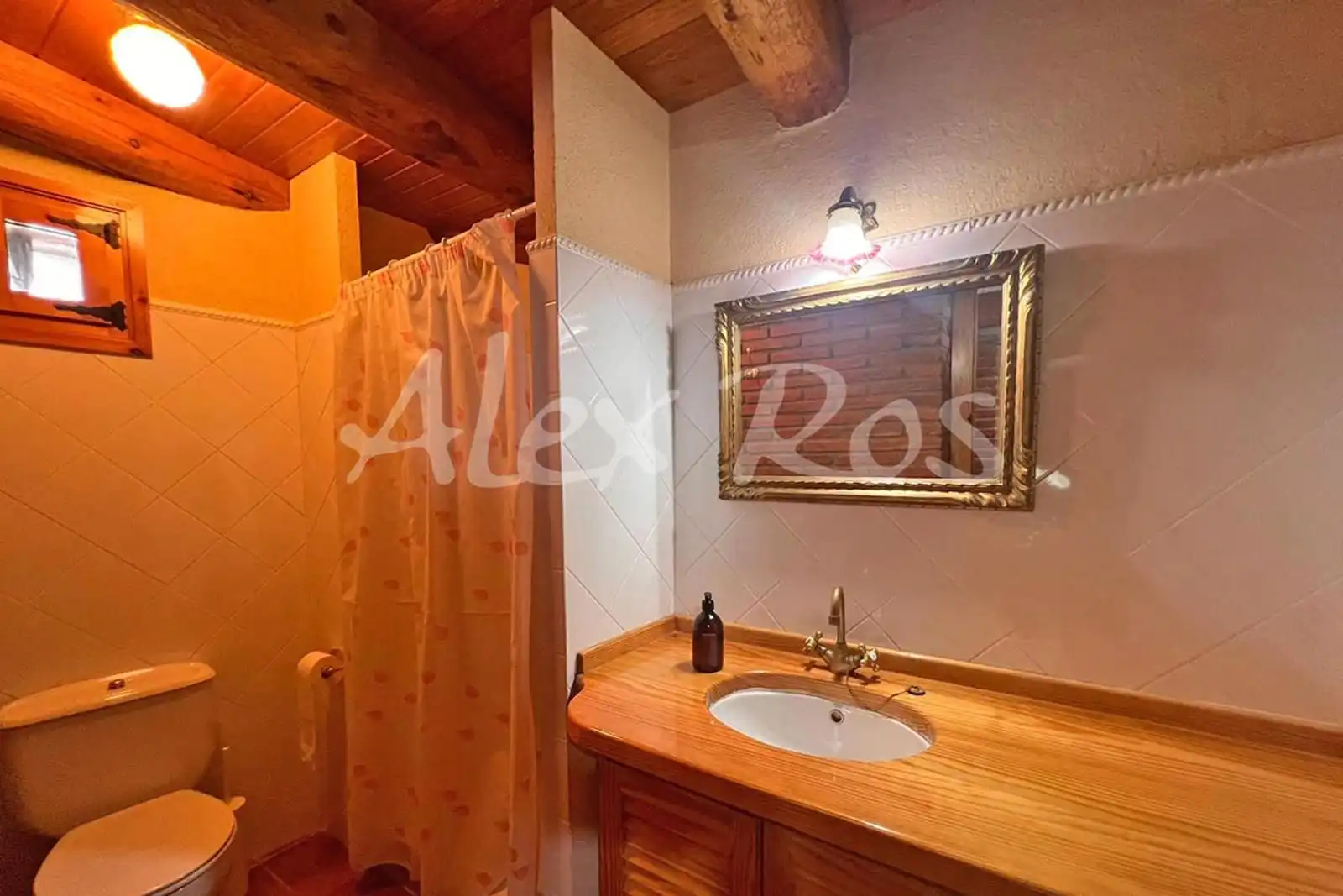 Baño de Casa o chalet en venta en Arsèguel con Jardín privado y Terraza