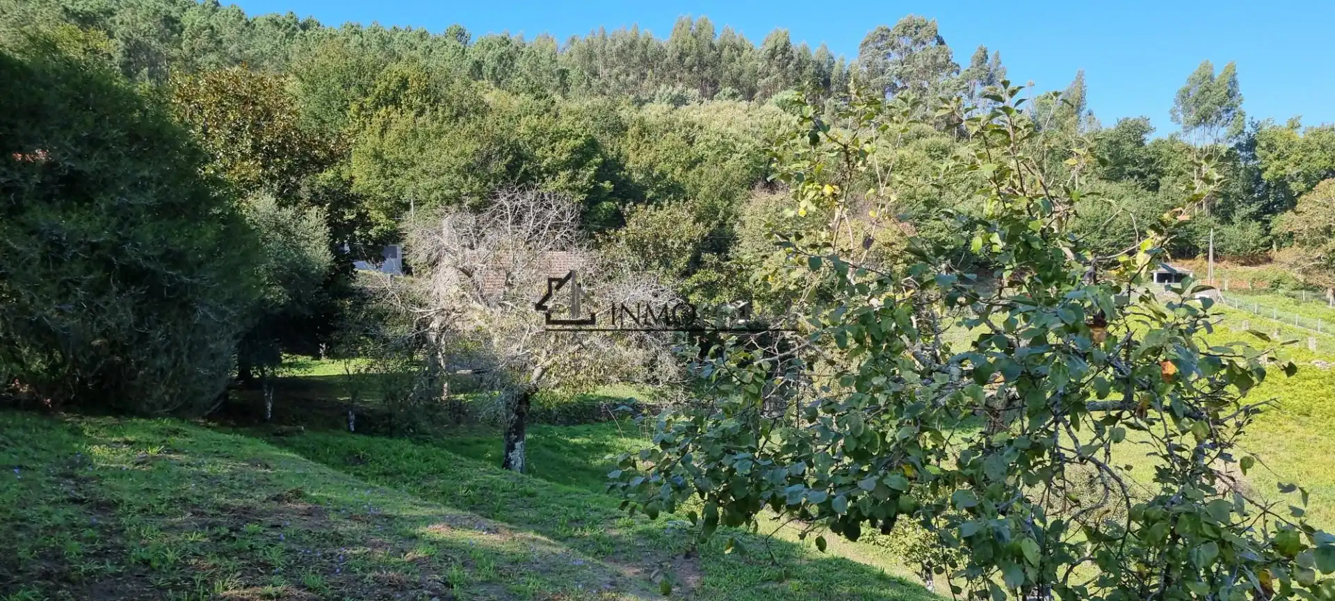 Casa o xalet en venda en Pontevedra Capital  amb Jardí privat